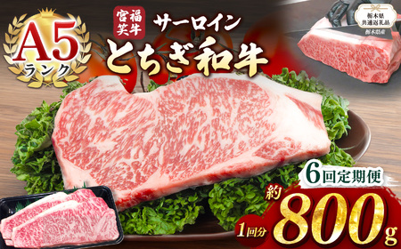 【栃木県共通返礼品】【定期便6回】宮福笑牛(とちぎ和牛) A5 サーロインステーキ　約200gx4枚  | 栃木県 下野市
