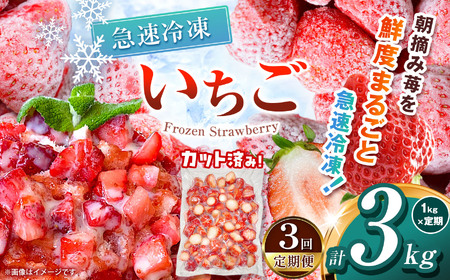 【栃木県共通返礼品】【定期3回】冷凍いちご 1kg | いちご とちあいか 冷凍 冷凍イチゴ スイーツ ジャム スムージー たっぷり 大粒  甘い 美味しい 果物 デザート 栃木県 那珂川町 送料無料