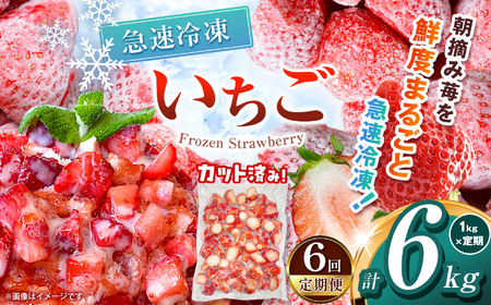 【栃木県共通返礼品】【定期6回】冷凍いちご 1kg | いちご とちあいか 冷凍 冷凍イチゴ スイーツ ジャム スムージー たっぷり 大粒  甘い 美味しい 果物 デザート 栃木県 那珂川町 送料無料