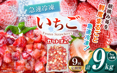 【栃木県共通返礼品】【定期9回】冷凍いちご 1kg | いちご とちあいか 冷凍 冷凍イチゴ スイーツ ジャム スムージー たっぷり 大粒  甘い 美味しい 果物 デザート 栃木県 那珂川町 送料無料