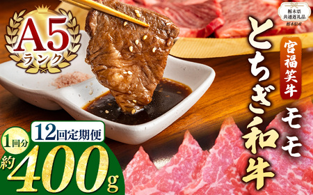 【栃木県共通返礼品】【定期便12回】宮福笑牛(とちぎ和牛) A5 モモ焼き肉 約400g  | 栃木県 下野市