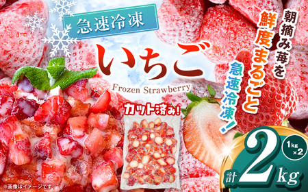  いちご 限定 訳あり 定期便 選べる 完熟 冷凍 とちあいか イチゴ  苺 フルーツ 果物 1kg 2kg 3kg 訳あり 不揃い | 選べる 冷凍  スイーツ ジャム スムージー たっぷり 大粒 甘い  デザート 人気急上昇 お買い得 栃木県 那珂川町 送料無料