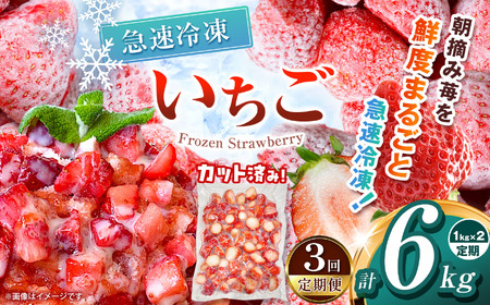 【栃木県共通返礼品】【定期3回】冷凍いちご 2kg | いちご とちあいか 冷凍 冷凍イチゴ スイーツ ジャム スムージー たっぷり 大粒  甘い 美味しい 果物 デザート 栃木県 那珂川町 送料無料