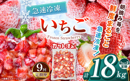 【栃木県共通返礼品】【定期9回】冷凍いちご 2kg | いちご とちあいか 冷凍 冷凍イチゴ スイーツ ジャム スムージー たっぷり 大粒  甘い 美味しい 果物 デザート 栃木県 那珂川町 送料無料