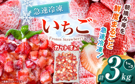  いちご 限定 訳あり 定期便 選べる 完熟 冷凍 とちあいか イチゴ  苺 フルーツ 果物 1kg 2kg 3kg 訳あり 不揃い | 選べる 冷凍  スイーツ ジャム スムージー たっぷり 大粒 甘い  デザート 人気急上昇 お買い得 栃木県 那珂川町 送料無料