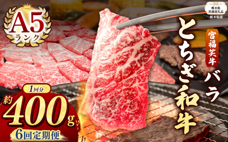 【栃木県共通返礼品】【定期便6回】宮福笑牛(とちぎ和牛) A5 バラ焼き肉 約400g  | 栃木県 下野市