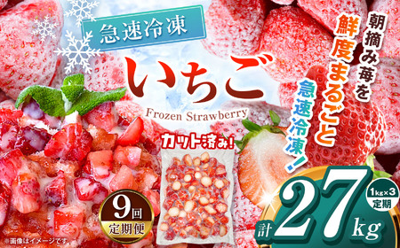 【栃木県共通返礼品】【定期9回】冷凍いちご 3kg | いちご とちあいか 冷凍 冷凍イチゴ スイーツ ジャム スムージー たっぷり 大粒  甘い 美味しい 果物 デザート 栃木県 那珂川町 送料無料
