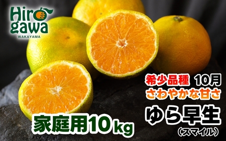 由良早生 みかん 訳あり 10kg / ゆら早生 温州みかん 極早生 甘い 家庭用 和歌山 柑橘 ※2026年10月上旬～10月下旬頃順次発送予定  ※北海道・沖縄・離島への配送不可   【sml003-yura-c10】