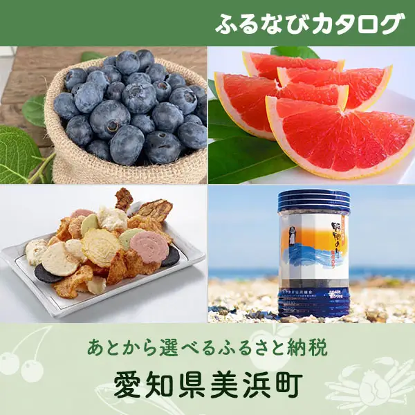 【有効期限なし！後からゆっくり特産品を選べる】愛知県美浜町カタログポイント