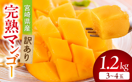 マンゴー 訳あり 宮崎 マンゴー[完熟 1.2kg 3～4玉]
