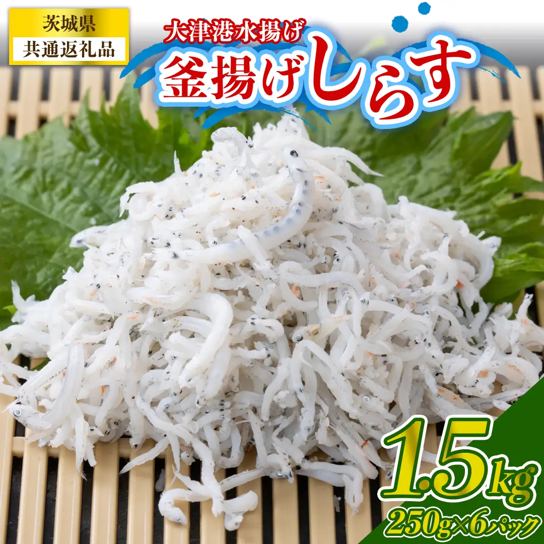大津港水揚げの釜揚げしらす 1.5kg(250g×2パック×3箱) (茨城県共通返礼品:北茨城市) (BC010)