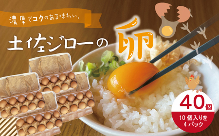 濃厚でコクのある味わい！のびのび育った土佐ジローの自然卵40個（10個入り×4パック）卵 玉子 たまご 鶏卵 土佐ジローの卵 土佐ジロー 自然卵 新鮮 旨味 濃厚 コク おいしい 自慢 こだわり卵 高知 高知県 四万十市 産地直送 送料無料 26-1011