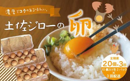 【定期便3回】濃厚でコクのある味わい！のびのび育った土佐ジローの自然卵20個（10個入り×2パック）【合計60個】卵 玉子 たまご 鶏卵 土佐ジロー 自然卵 新鮮 旨味 濃厚 コク おいしい 自慢 こだわり卵 高知 高知県 四万十市 26-1013