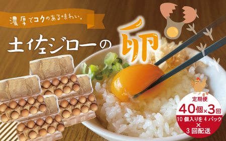 【定期便3回】濃厚でコクのある味わい！のびのび育った土佐ジローの自然卵40個（10個入り×4パック）【合計120個】卵 玉子 たまご 鶏卵 土佐ジロー 自然卵 新鮮 旨味 濃厚 コク 自慢 こだわり卵 高知 高知県 四万十市 26-1015