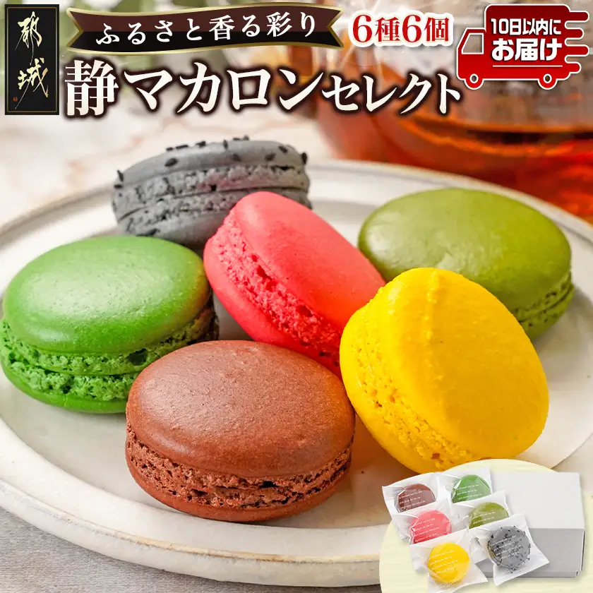 静マカロン ふるさと香る彩りセレクト 6種6個入≪みやこんじょ特急便≫〔LE-C206-Q〕_(都城市) マカロン スイーツ ショコラ いちご 日向夏 ピスタチオ バイオ茶 黒ごま