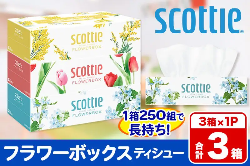 ティッシュペーパー スコッティ ティシュー フラワーボックス 250組 3箱パック×1パック 秋田市オリジナル