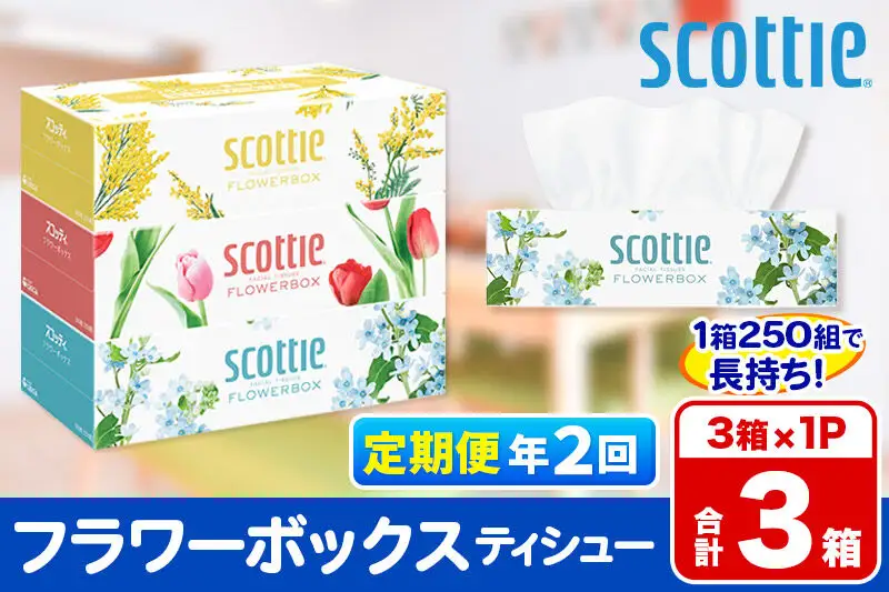 《6ヶ月ごとに2回お届け》定期便 ティッシュペーパー スコッティ ティシュー フラワーボックス 250組 3箱パック×1パック 秋田市オリジナル