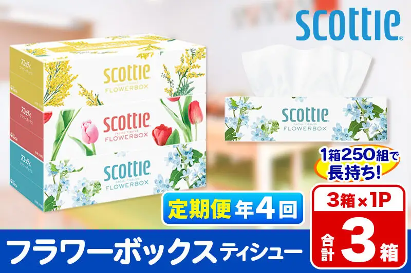 《3ヶ月ごとに4回お届け》定期便 ティッシュペーパー スコッティ ティシュー フラワーボックス 250組 3箱パック×1パック 秋田市オリジナル