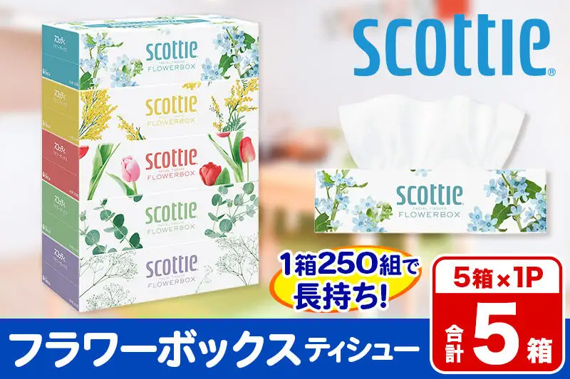 スコッティ ティッシュペーパー フラワーボックス 5箱×1パック 秋田市オリジナル