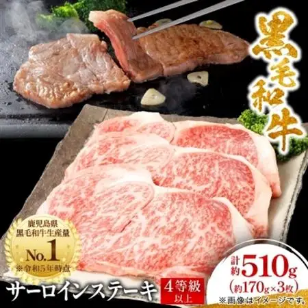 【鹿児島県産】黒毛和牛 サーロインステーキ 約510g (約170g×3枚)(枕崎市) B3-89_肉 ステーキ 牛肉 ビーフステーキ  肉 黒毛和牛 牛肉 _【配送不可地域：離島】【1616196】