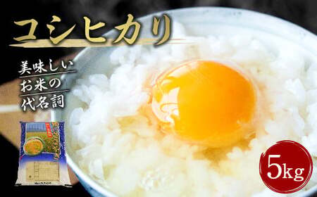 【令和7年産】大分県産 コシヒカリ 5kg【2025年10月下旬発送開始予定】
