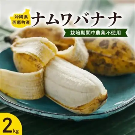 西原町の栽培期間中農薬不使用のナムワバナナ2kg【1616140】