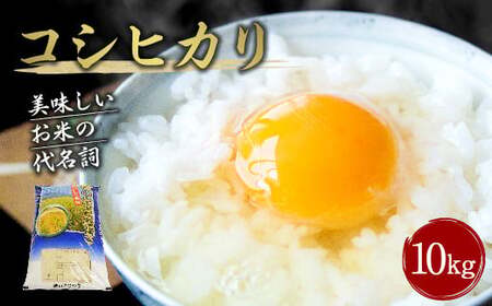 【令和7年産】大分県産 コシヒカリ 10kg【2025年10月下旬発送開始予定】