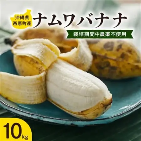 西原町の栽培期間中農薬不使用のナムワバナナ10kg【1616149】