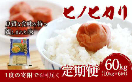 【6ヶ月定期便】大分県産 ヒノヒカリ 10kg×6回 計60kg
