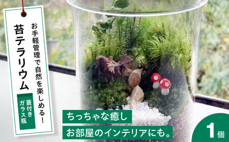 苔テラリウム（蓋付きガラス瓶）[APCJ008] テラリウム | 広島県三次市
