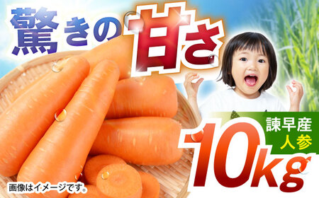 諫早産にんじん 10kg / にんじん ニンジン 人参 キャロット きゃろっと 野菜 やさい 10kg / 諫早市 / 松尾農園 [AHAY030]