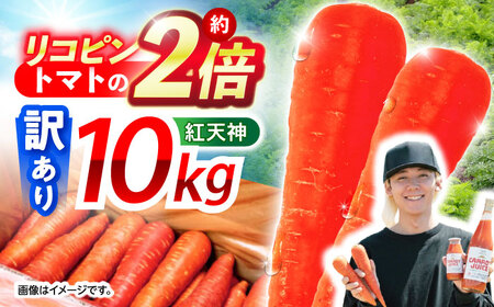 【訳あり】真っ赤な人参「紅天神」10kg AHCU006 人参