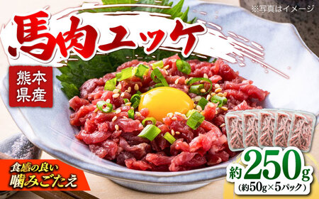 馬肉ユッケ　計約250g　約50g×5パック 小分け 馬刺し ユッケ[AYBK003]