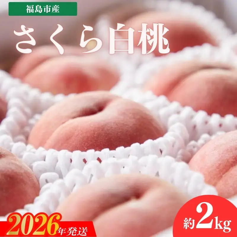 No.2724福島市産　さくら白桃　約2kg【2026年発送】