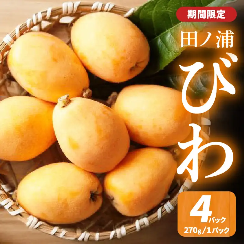 【期間限定】田ノ浦びわ 約1.08kg（270g×4パック） C07014