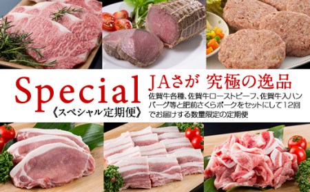 【定期便】 (12ヶ月連続お届け) 佐賀牛と肥前さくらポークのフルコース定期便   Q410-001 佐賀の黒毛和牛 霜降りの佐賀牛 しゃぶしゃぶ用佐賀牛 ステーキ用佐賀牛 人気の佐賀牛 評価の高い 佐賀牛 ブランド牛 