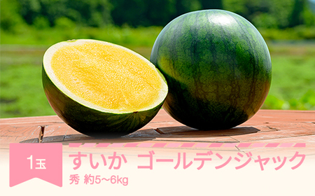 【先行予約】すいか ゴールデンジャック 1玉5kg~6kg 2026年産 令和8年産 no-sugjx1 ※沖縄・離島への配送不可