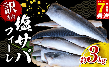 訳あり さば 塩鯖約3kg規格外 サバ 旭市