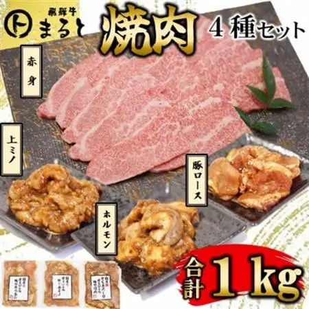 【飛騨牛】焼肉4種B-3セット　赤身肉と味付けホルモンなど　合計1kg【配送不可地域：離島】【1616690】