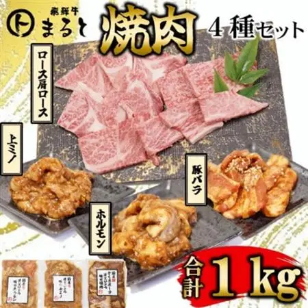 【飛騨牛】焼肉4種セット　ロース・肩ロースと味付けホルモンなど　合計1kg【配送不可地域：離島】【1616704】
