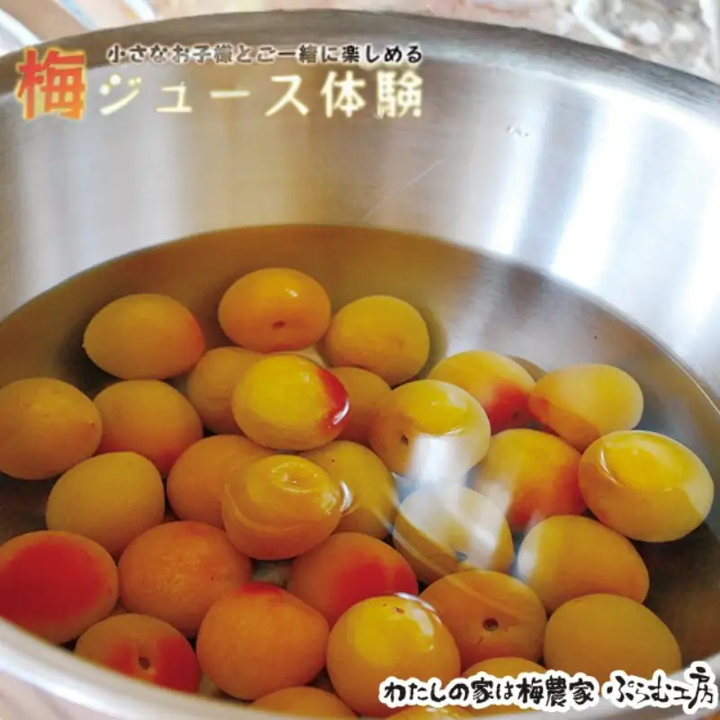 カフェドマンマ食事券1500円分＆梅ジュースづくり体験チケット  iwasho012A【iwasho012A】