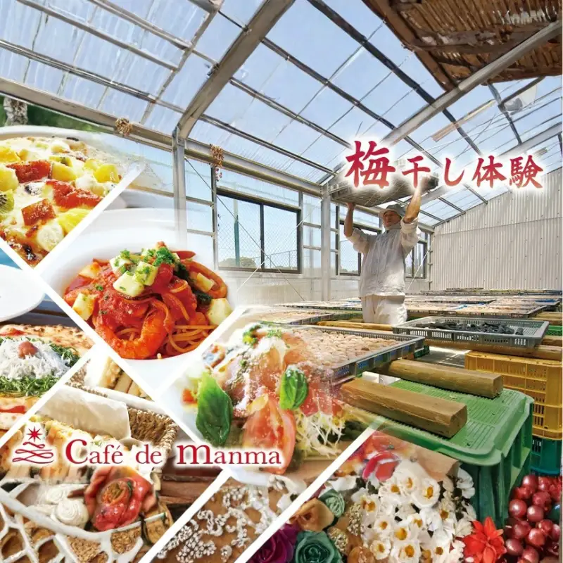 カフェドマンマ食事券1500円分＆梅干し作業体験チケット  iwasho008A【iwasho008A】