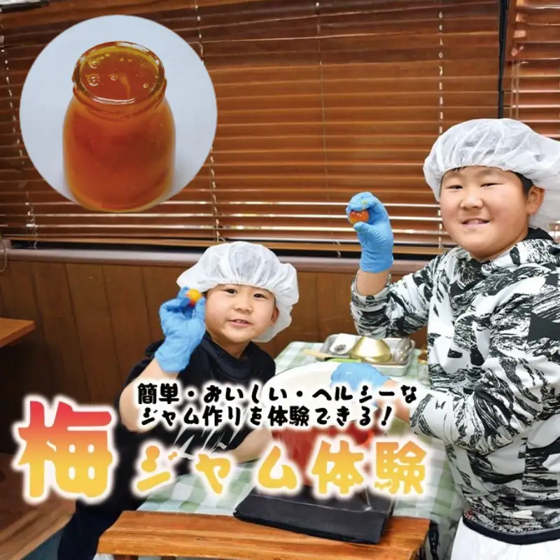 カラフル梅ジュース＆梅ジャムづくり体験チケット  iwasho004A【iwasho004A】