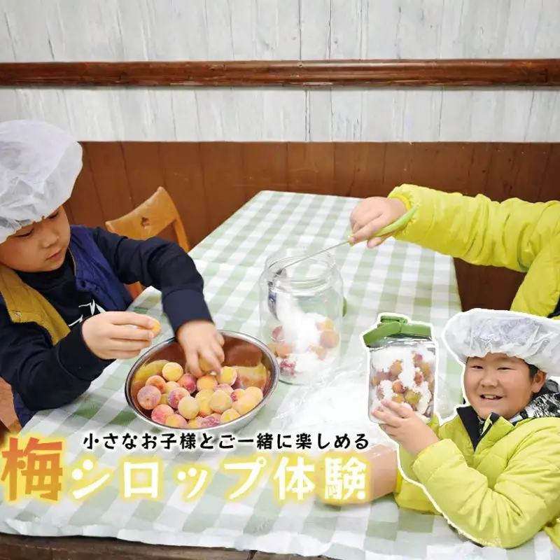 梅ジュースづくり体験ペアチケット iwasho014A【iwasho014A】