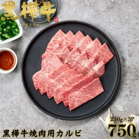 くまもと黒毛和牛 黒樺牛 A4～A5等級 牛肉カルビ 750g(250g×3)【杉本本店】(美里町)_肉 焼肉 牛肉 やきにく ヤキニク バーベキュー  肉 黒毛和牛 牛肉 _【配送不可地域：離島】【1617812】