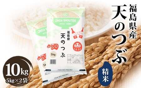 令和7年産米 須賀川市産 天のつぶ精米10kg ブランド米 お米 精米 白米 人気 F7X-0645