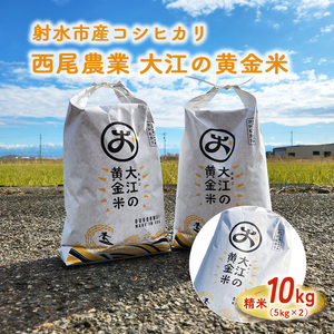 R7年度米 大江の黄金米 コシヒカリ10kg（5kg×2） ｜ 射水市 西尾農業 黄金米 射水の美味しいお米 精米 ※離島への配送不可