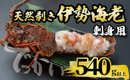 【 伊勢海老 】 伊勢海老刺身用540g