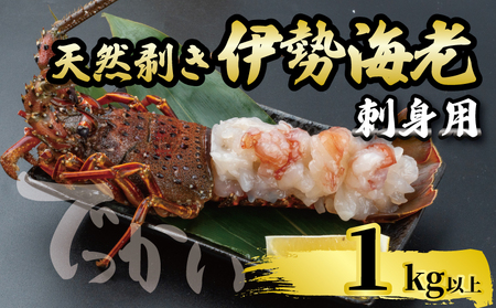 【 伊勢海老 】 伊勢海老刺身用1kg