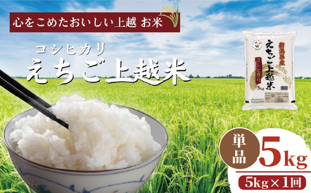 【えちご上越米】令和7年産 新潟県上越産 コシヒカリ 5kg 精米 こしひかり JAえちご上越